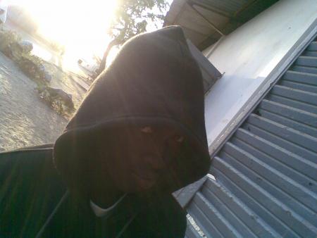 the killer